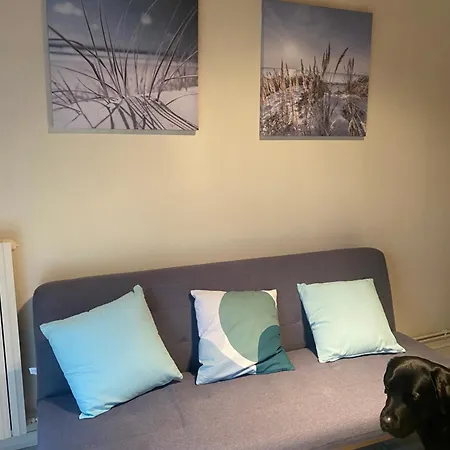 Appartement Avec Jardin Le Porge Exterior photo