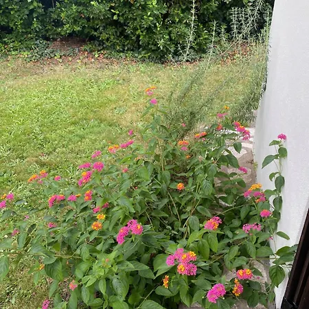 Appartement Avec Jardin Le Porge Exterior photo