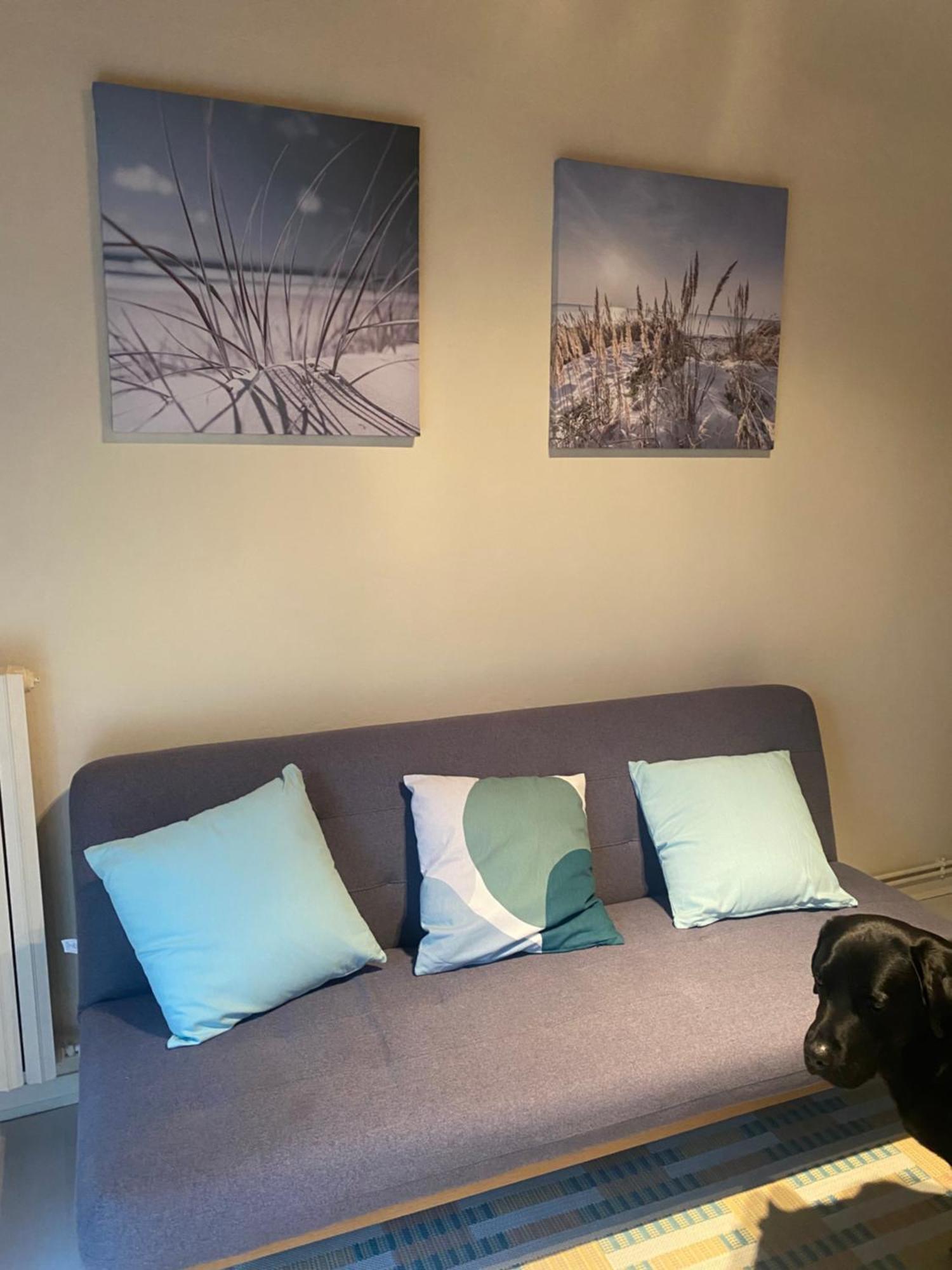 Avec Jardin Appartement