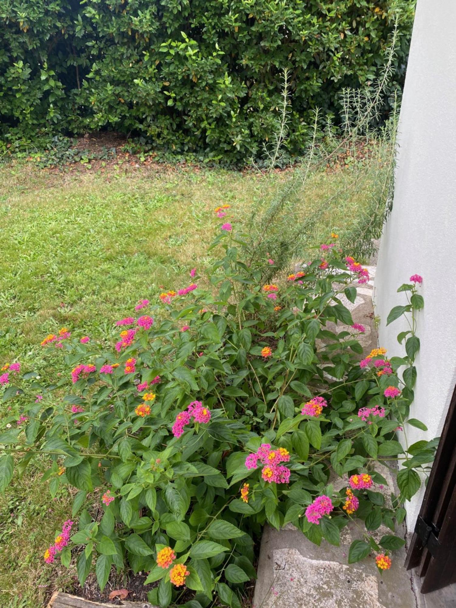 Avec Jardin Apartment *